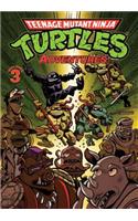 Teenage Mutant Ninja Turtles Adventures Volume 3