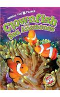 Clownfish and Sea Anemones
