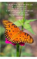Isaiah 41