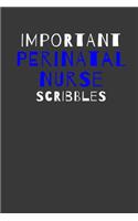 Important Perinatal Nurse Scribbles