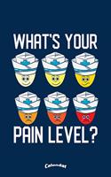My Pain Level Calendar: Calendar, Diary or Journal Gift for Nurses, Caregivers and Chronic Pain Patients with 108 Pages, 6 x 9 Inches, Cream Paper, Glossy Finished Soft Cov