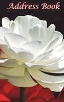 Address Book: : White Floral, 6"x9" Professionally Designed. Keep all your address information together (Address, Home, Phone, Email, Birthday, Fax, Notes) 450+ S(9 Address Book)