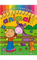 Animals