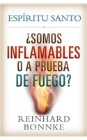 Spanish-Holy Spirit: Are We Flammable or Fireproof?