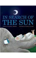 In Search of the Sun