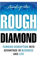 Rough Diamond: The Intrepreneur's Guide to Getting Shit Done