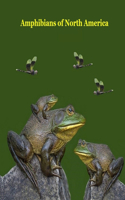 Amphibians of North America Kids Book