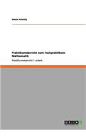 Praktikumsbericht zum Fachpraktikum Mathematik: (German)