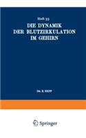 Die Dynamik der Blutzirkulation im Gehirn
