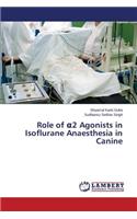 Role of &#945;2 Agonists in Isoflurane Anaesthesia in Canine