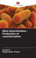 Bêta-Galactosidase: Production et caractérisation