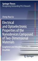 Electrical and Optoelectronic Properties of the Nanodevices Composed of Two-Dimensional Materials