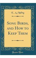 Song Birds, and How to Keep Them (Classic Reprint)