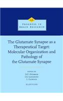 Glutamate Synapse as a Therapeutic Target