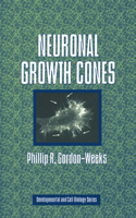 Neuronal Growth Cones