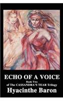 Echo of a Voice