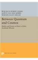 Between Quantum and Cosmos