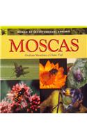 Moscas