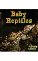 Baby Reptiles