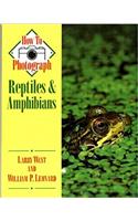 How to Photograph Reptiles and Amphibians