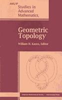 Geometric Topology, Part 1