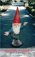 Gnome Alone in Carmel