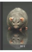 Mirror Rat
