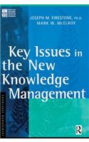 Key Issues in the New Knowledge Management