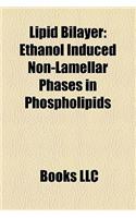 Lipid Bilayer: Ethanol Induced Non-Lamellar Phases in Phospholipids(English)