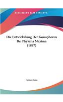 Die Entwickelung Der Gonophoren Bei Physalia Maxima (1897)