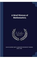 A Brief History of Mathematics;