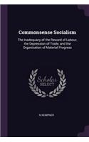 Commonsense Socialism