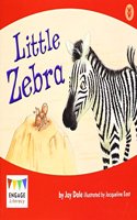 Little Zebra