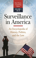 Surveillance in America