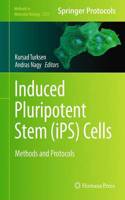 Induced Pluripotent Stem (Ips) Cells