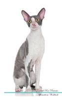 Cornish Rex Affirmations Workbook Cornish Rex Presents: Positive and Loving Affirmations Workbook. Includes: Mentoring Questions, Guidance, Supporting You.