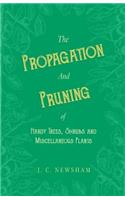 Propagation and Pruning of Hardy Trees, Shrubs and Miscellaneous Plants: With Chapters on Manuring and Planting