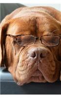 Napping Bordeaux Dog Wearing Reading Glasses Pet Journal: 150 Page Lined Notebook/Diary