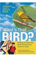 What's That Bird?