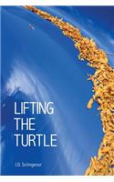 Lifting the Turtle