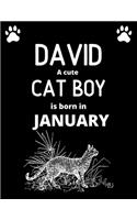 DAVID a cute cat boy is born in January