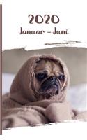 Kalender 2020: Mops Hunde Tageskalender 1. Halbjahr Januar Juni ca DIN A5 weiß über 190 Seiten
