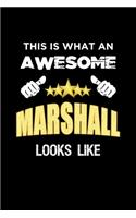 This Is What An Awesome Marshall Looks Like