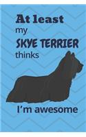 At least My Skye Terrier thinks I'm awesome