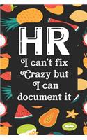HR I Can't Fix Crazy But I Can Document It