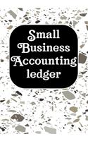 Small Business Accounting Ledger