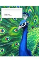 Peacock Composition Book