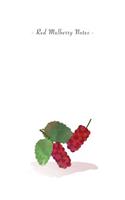 Red Mulberry Notes