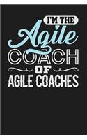 I'm the Agile Coach of Agile Coaches