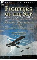 Fighters of the Sky: Accounts of the Air War over France by American Pilots-Night Bombing with the Bedouins by Robert H. Reece, With Three Accounts from 'New England Avi